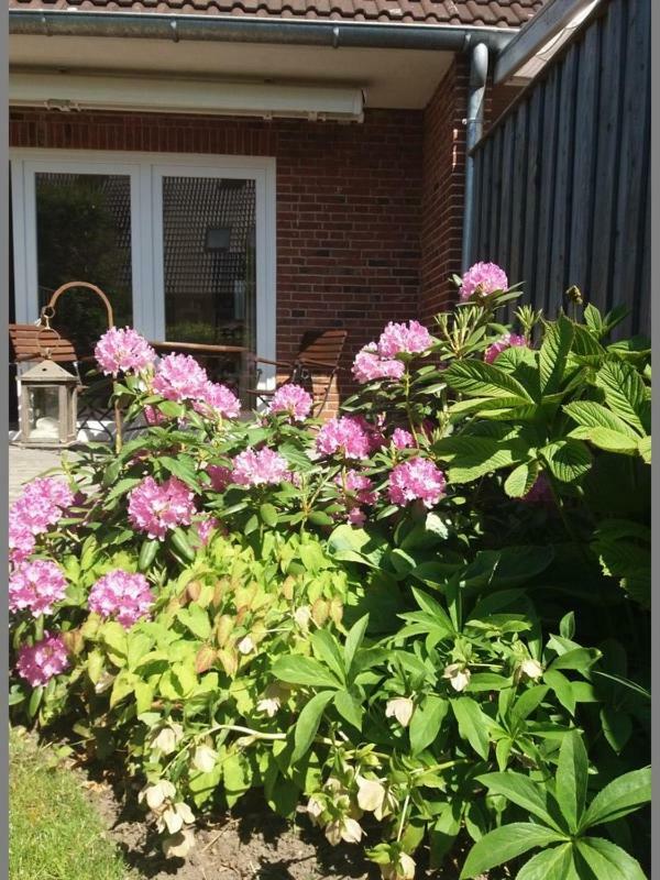 Ferienhaus Richard Villa Husum  Exterior foto